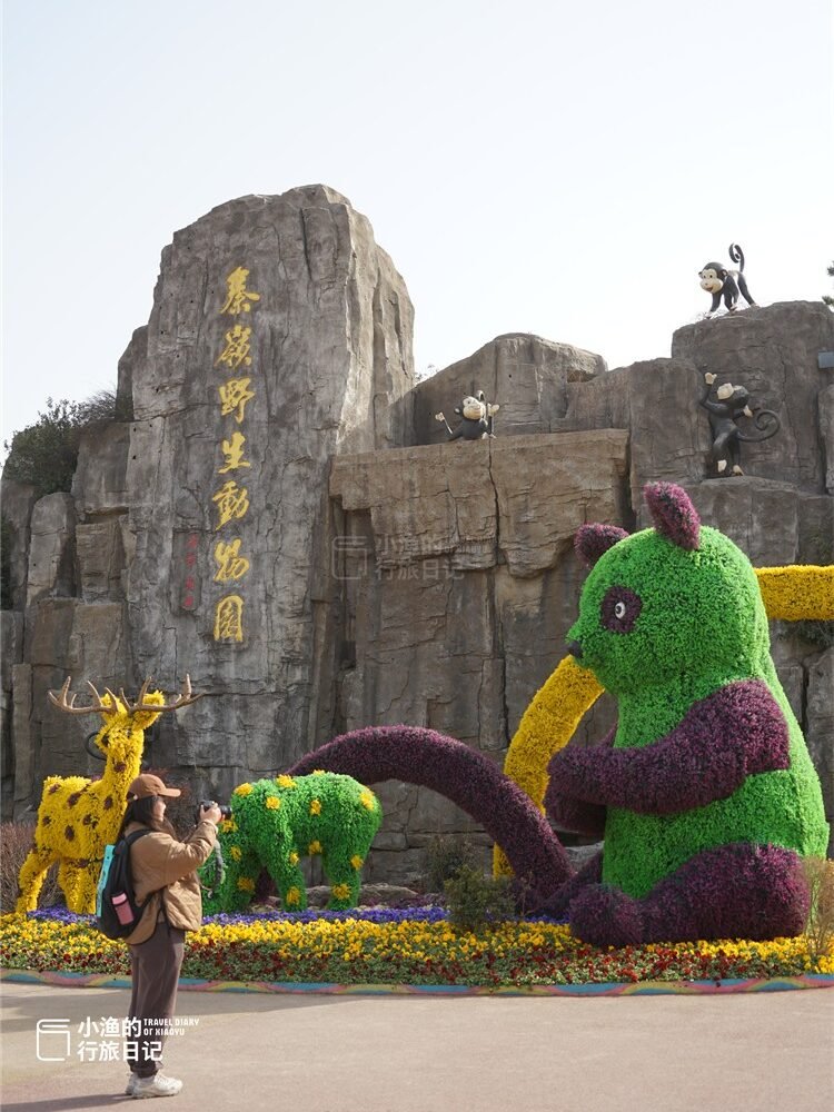 Xi 'an Qinling Safari Park half-day tour