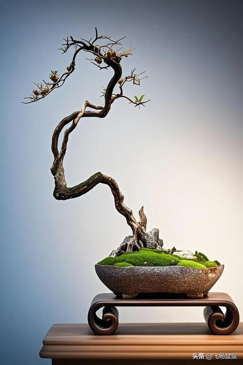 beautiful Xi'an bonsai (1) beautiful Xi'an bonsai (1)