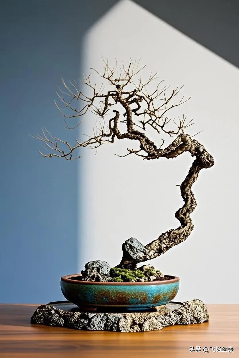 beautiful Xi'an bonsai (2)