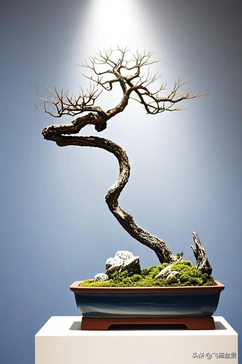beautiful Xi'an bonsai (5) beautiful Xi'an bonsai (5)