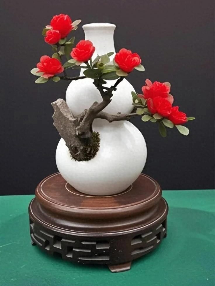 stunning flower bonsai stunning flower bonsai